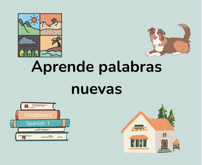 Vocabulario